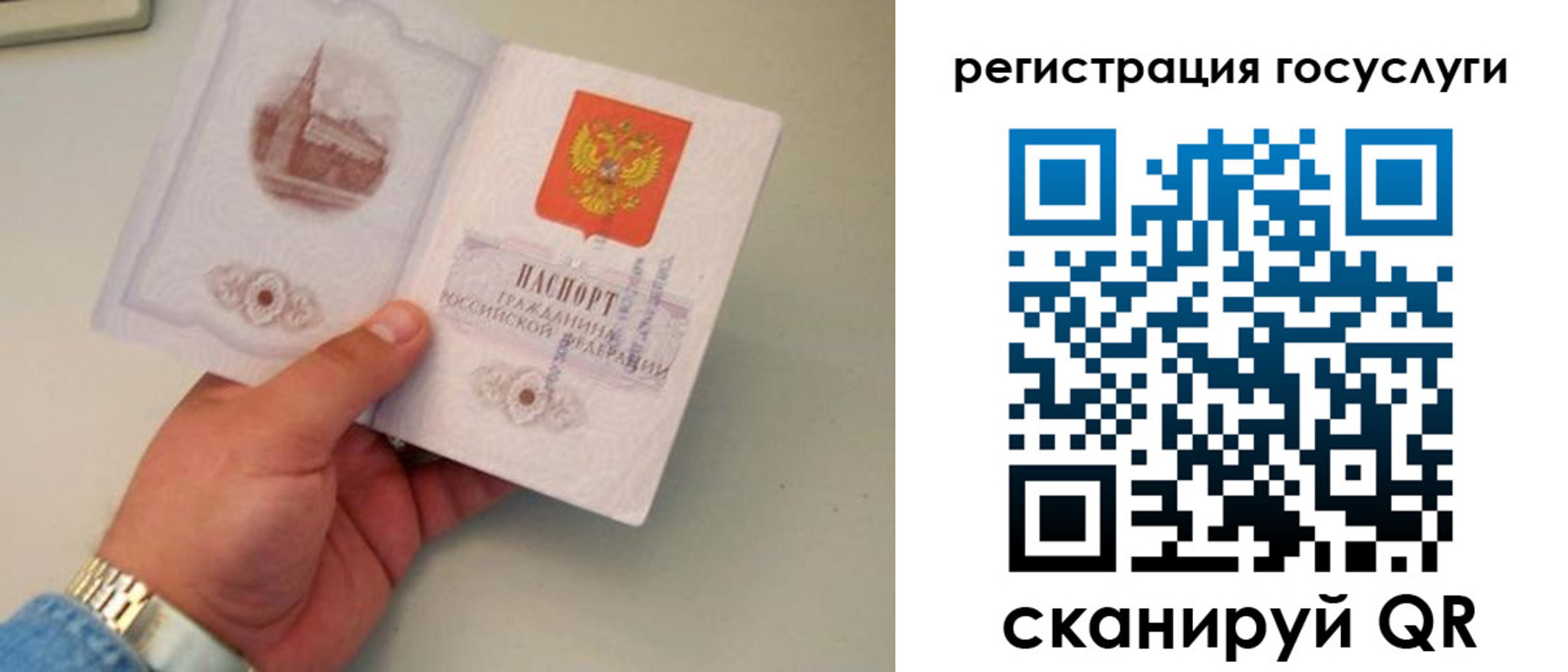 прописка регистрация в Зеленокумске